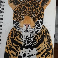 Leopard &mdash; Coloured pencil on paper